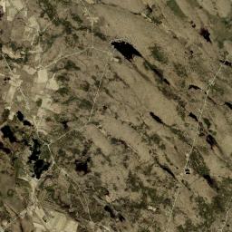 Ricard New York Satellite Map