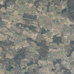 Root Center New York Satellite Map