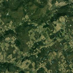 Shackport New York Satellite Map