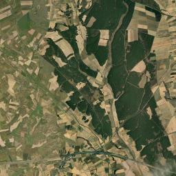 Lagartos Satellite Map