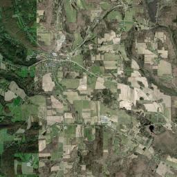 Odessa New York Satellite Map