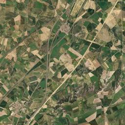 Piña de Campos Satellite Map