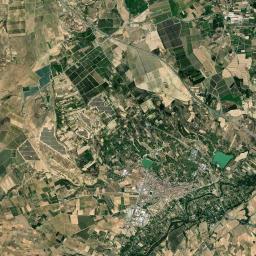 Corella Satellite Map