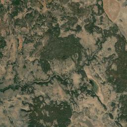 Grizzlie Place California map(satellite map)