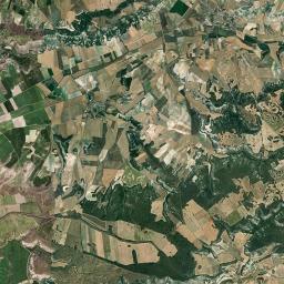 Alba de Cerrato Satellite Map