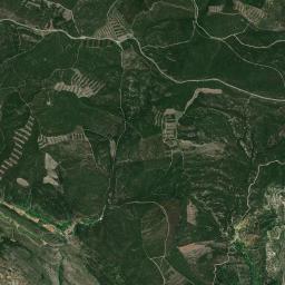Muriel Viejo Satellite Map