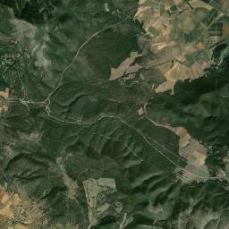 Pozalmuro Satellite Map