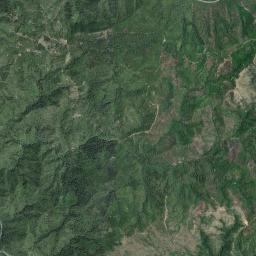 Darlingtonia California map(satellite map)