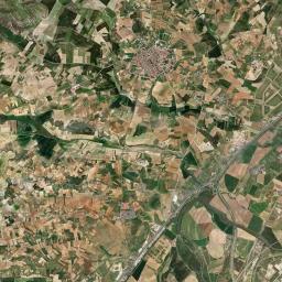 Cigales Satellite Map