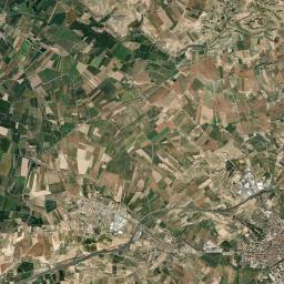 Anglesola Satellite Map