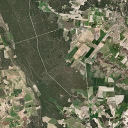 Mojados Satellite Map