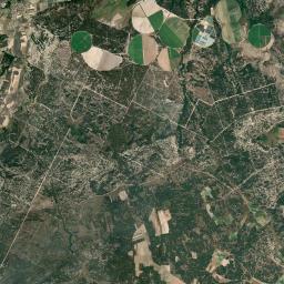 Torrecilla del Pinar Satellite Map