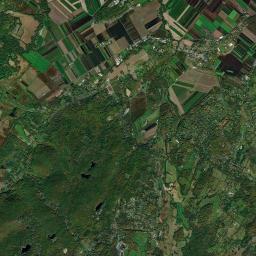 Wilcox New York Satellite Map