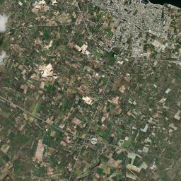Bisceglie Satellite Map