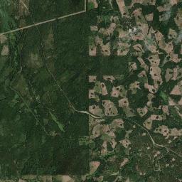 Curtis California map(satellite map)