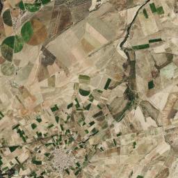 Cantalpino Satellite Map