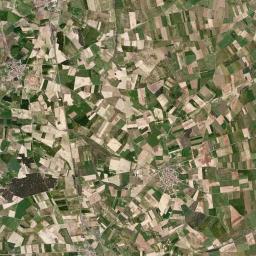 Codorniz Satellite Map