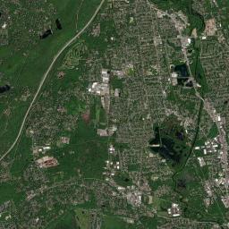 Wayne Satellite Map