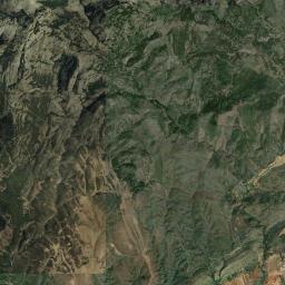 Tortuero Satellite Map