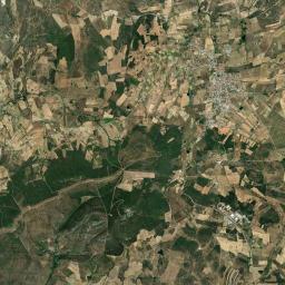 Figueira de Castelo Rodrigo Satellite Map