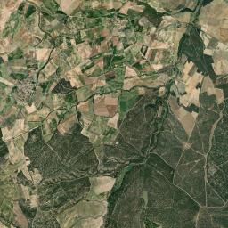 Muñopedro Satellite Map