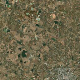 Putignano Satellite Map