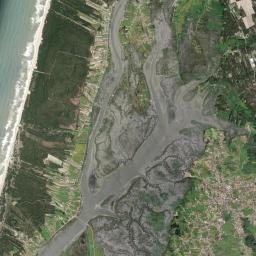 Pardilhó Satellite Map