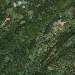 Califon Satellite Map