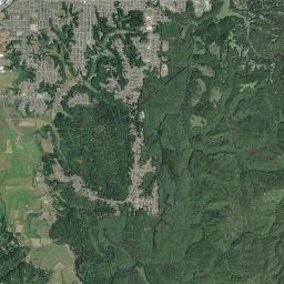 Bayview California map(satellite map)