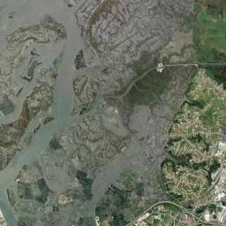 Esgueira Satellite Map