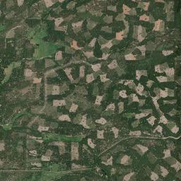 Viola California map(satellite map)