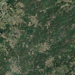 Carregal do Sal Satellite Map