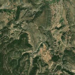 Royuela Satellite Map
