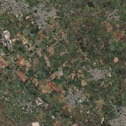 Pisignano Satellite Map