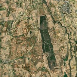 Rozalén del Monte Satellite Map
