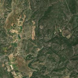 Pajaroncillo Satellite Map