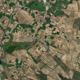 Palmas Arborea Satellite Map