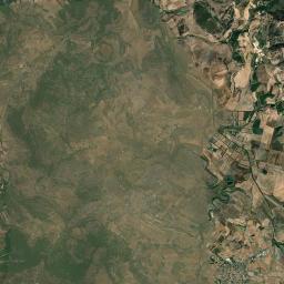 Nureci Satellite Map