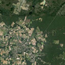 Buena Satellite Map
