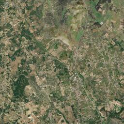 Paialvo Satellite Map