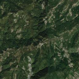 Forest California map(satellite map)