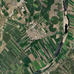 Golegã Satellite Map