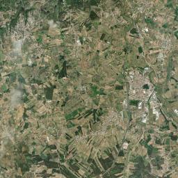 Bombarral Satellite Map