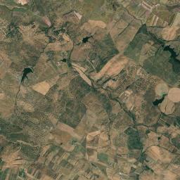 Sousel Satellite Map