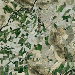 Santa Amalia Satellite Map