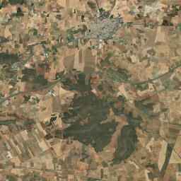 Carrión de Calatrava Satellite Map