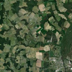 Federalsburg Satellite Map