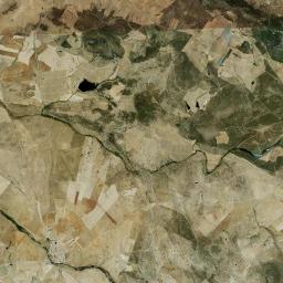 Palomas Satellite Map