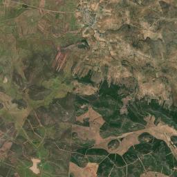Alamillo Satellite Map