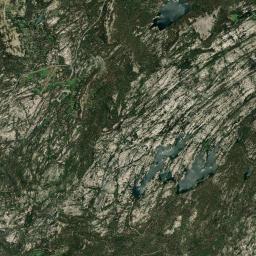 Bear Valley California map(satellite map)
